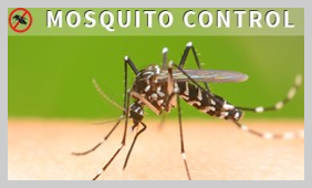 MosquitoControl