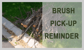 BrushPU_Reminder