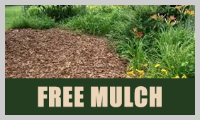 FreeMulch19