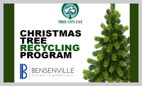 ChristmastreeRecycle_NF