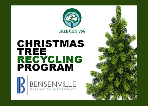 ChristmasTreeRecycle_BG