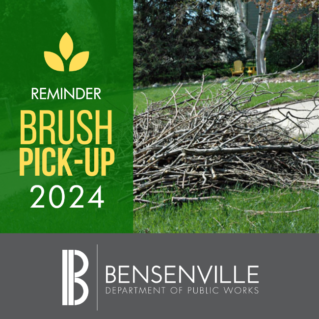 BRUSH PICK UP 2024